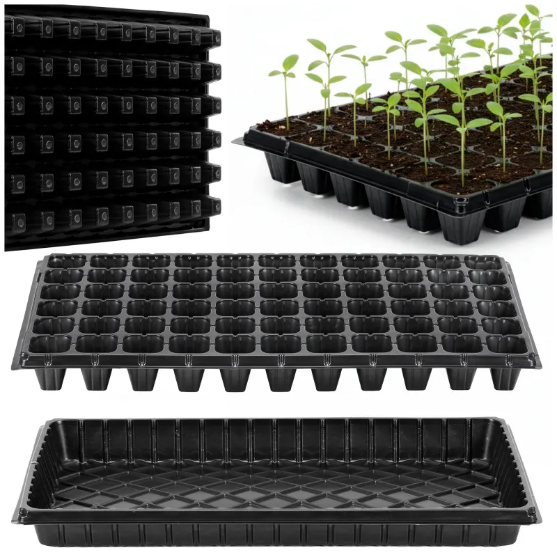 Multisection tray GA0221 52.5 x 31.5 cm